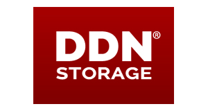 DDN Storage_big_logo